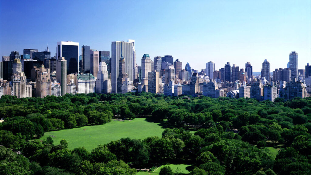 Aerial view of Central Park with New York City skyline in the background on a clear sunny day