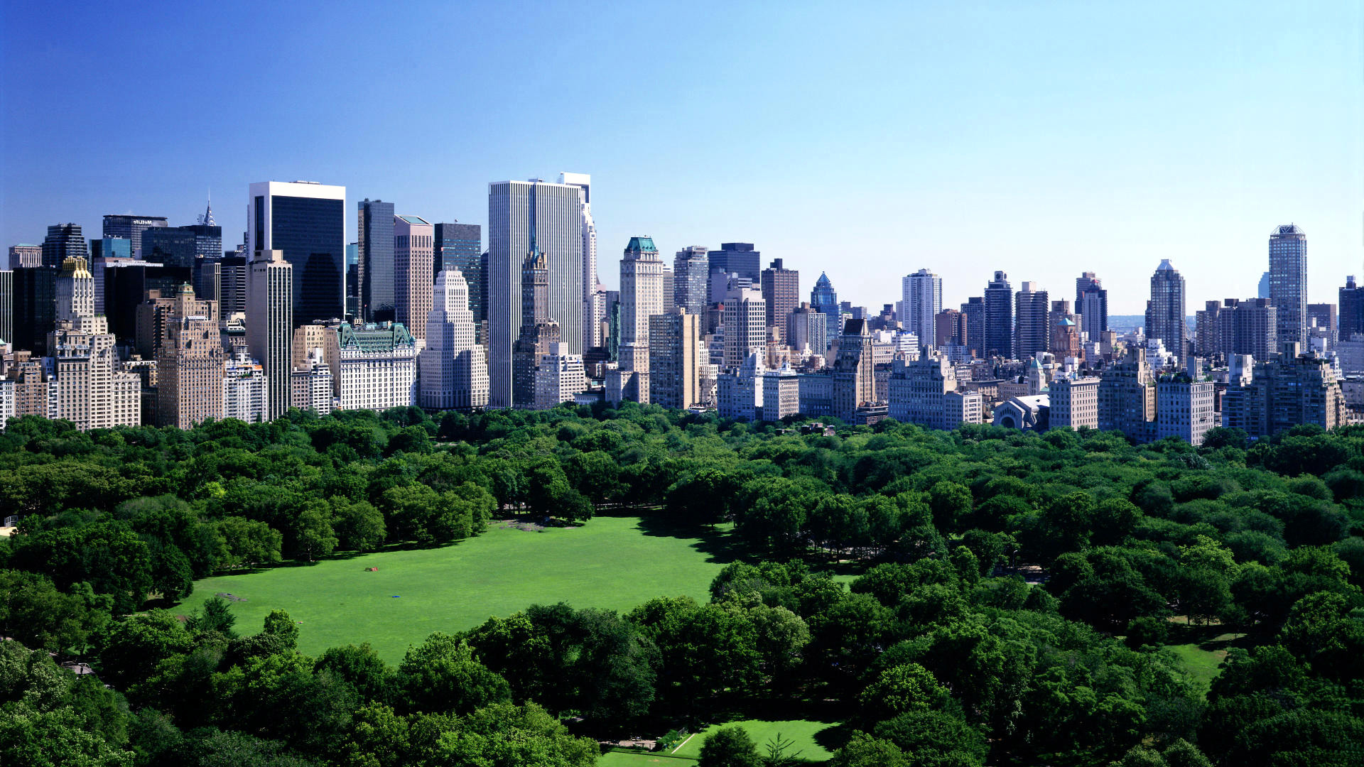 Aerial view of Central Park with New York City skyline in the background on a clear sunny day