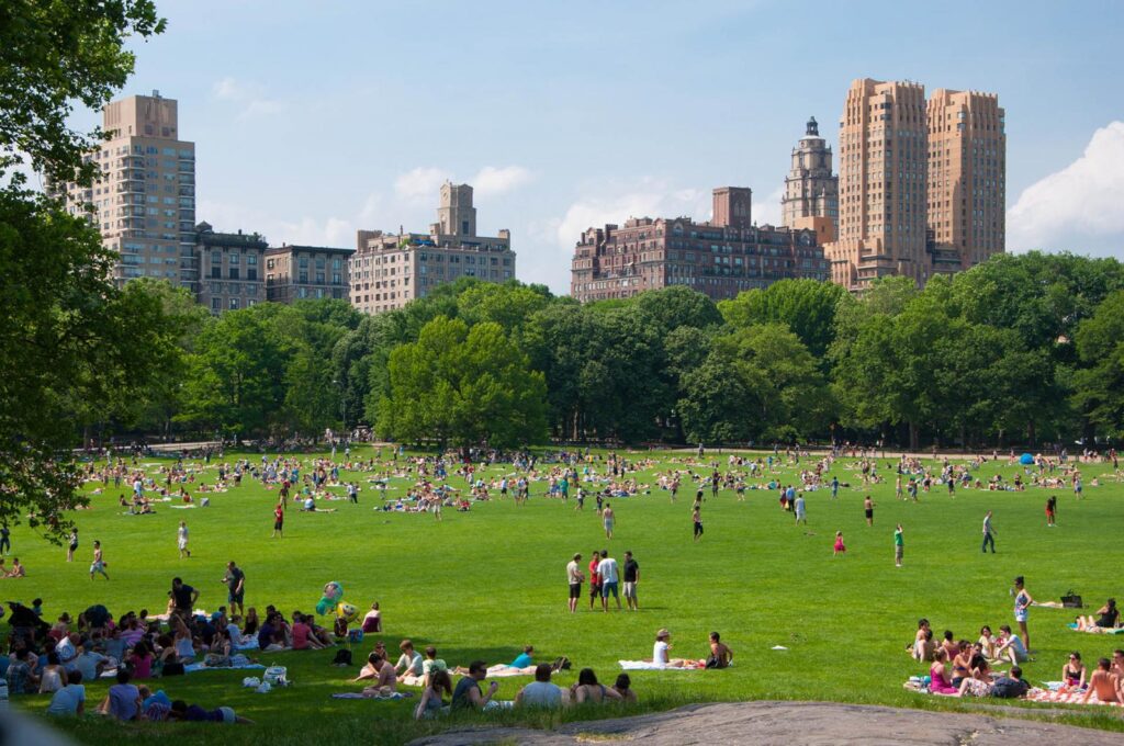 Crowds of people relaxing on the Great Lawn in Central Park, New York City, with historic buildings in the background on a sunny summer day