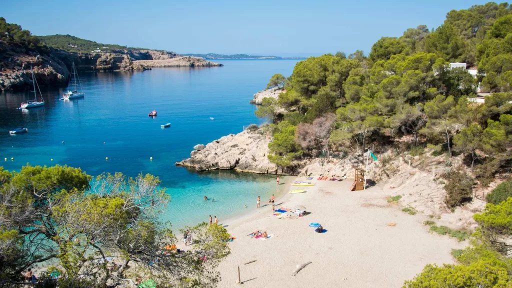Ibiza beaches travel guide: "Secluded sandy beach and turquoise waters of Cala Salada in Ibiza, Spain, surrounded by pine trees and cliffs, with sunbathers and boats in the bay"
