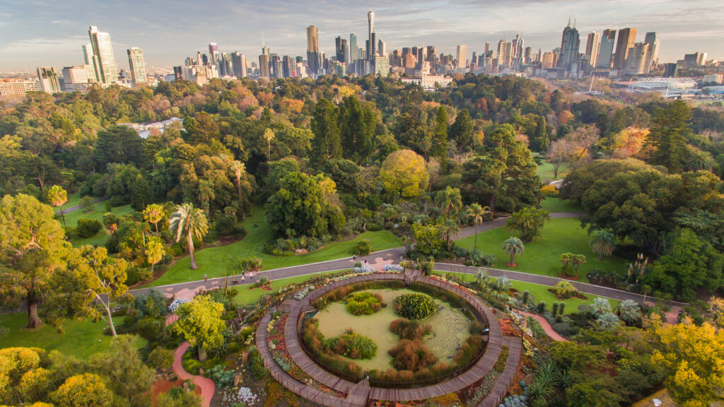 Aerial view of the Royal Botanic Gardens in Melbourne with lush greenery, walking trails, and the city skyline in the background during golden hour
