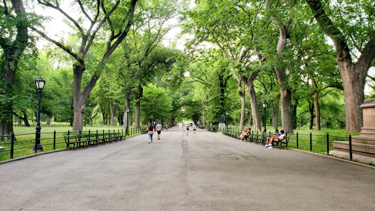 People walking and relaxing along the tree-lined Mall walkway in Central Park, New York City on a peaceful summer day