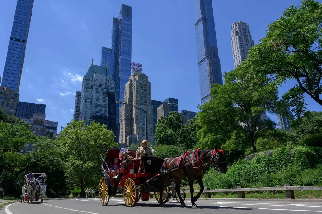 Horse-drawn carriage ride through Central Park in New York City with modern skyscrapers in the background on a sunny day