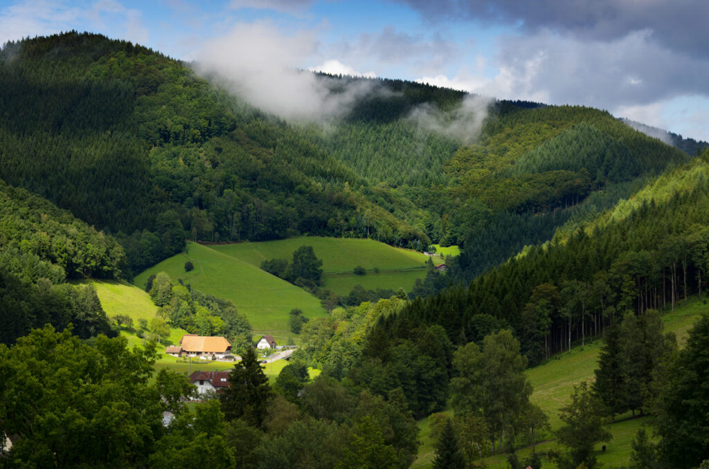 "Scenic view of the Black Forest in southwest Germany with rolling green hills, dense pine forests, and traditional farmhouses nestled in the valley under cloudy skies"