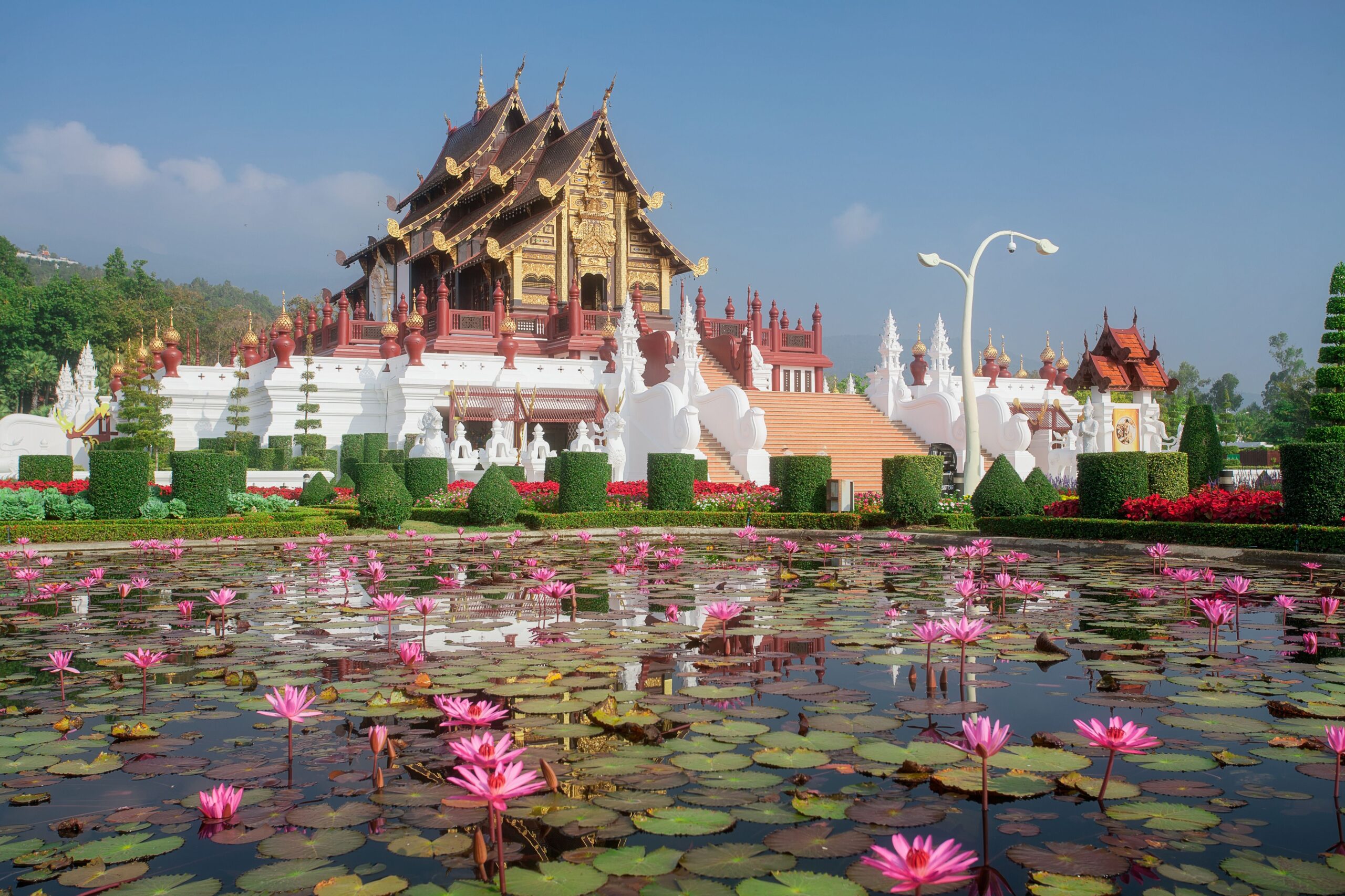 "Traditional Lanna-style Thai temple in Chiang Mai with intricate golden details, surrounded by manicured gardens and a blooming lotus pond under a clear blue sky"