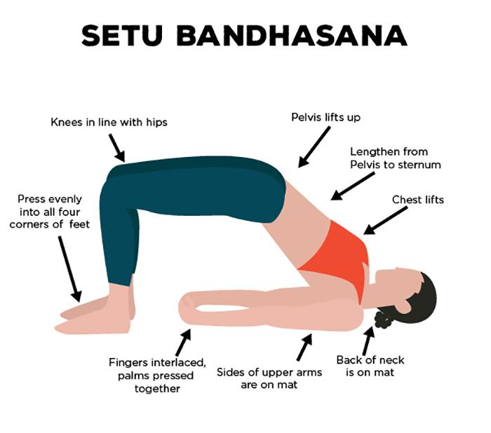 "Illustration of the Setu Bandhasana yoga bridge pose showing alignment cues such as knees in line with hips, pelvis lifted, chest lifted, even foot pressure, interlaced fingers, upper arms on the mat, and neck supported."