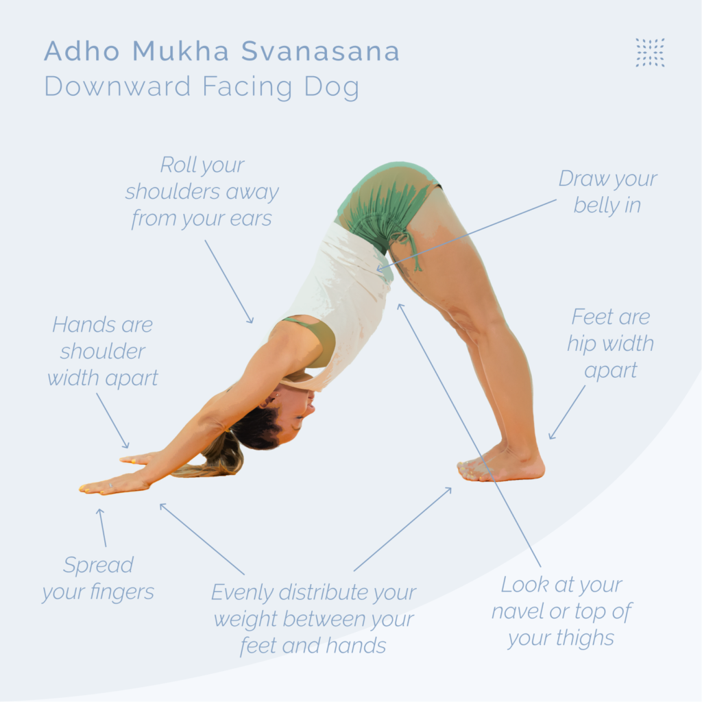 Yoga poses for better flexibility and peace: "Illustration of the Yoga Downward Facing Dog pose (Adho Mukha Svanasana) with alignment cues including shoulder width hands, hip width feet, spread fingers, engaged core, even weight distribution, and proper head position."
