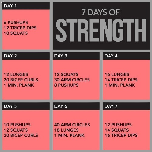 "7-day strength workout plan with pushups, squats, lunges, dips, curls, arm circles, and planks."